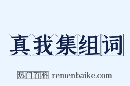 真我集组词是什么意思的图片